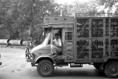 India-007