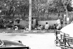 India-008