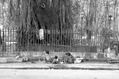 India-009