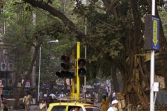 India-020