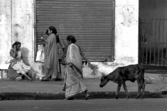 India-028