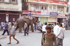 India-040