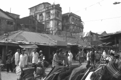 India-041