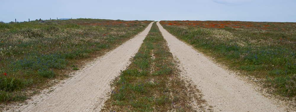 Dirt Road